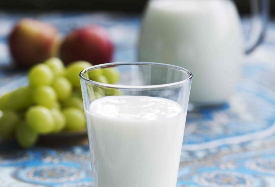 Starter cultures for ayran Starter cultures for ayran