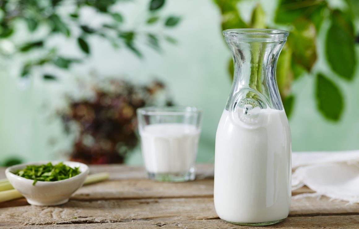 Закваски за различни ферментирали млечни продукти