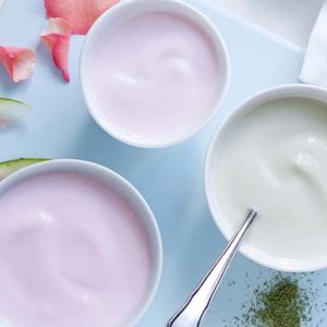 Probiotic starter cultures