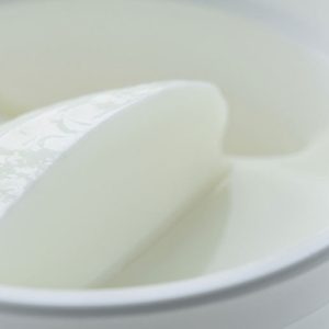 Закваски за кисело мляко