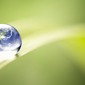 Chr. Hansen is ranked the most sustainable company in the world Chr. Hansen is ranked the most sustainable company in the world