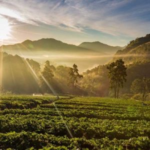 Chr. Hansen remains in top 10 of “Global 100 Most Sustainable Corporations in the World” 2020 Chr. Hansen remains in top 10 of “Global 100 Most Sustainable Corporations in the World” 2020